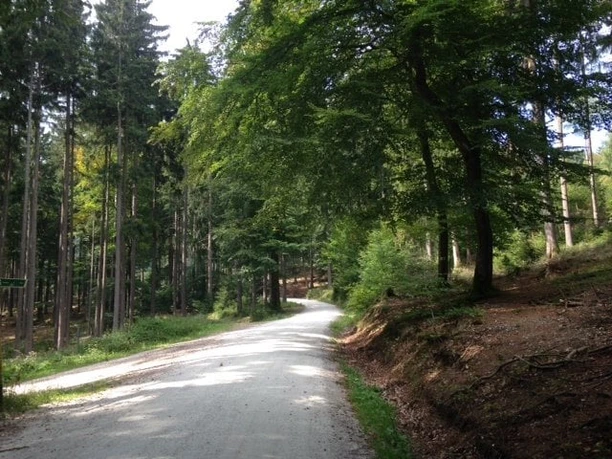 Bikeroute Naturpark Taunus