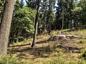 MTB-Trails Winterstein