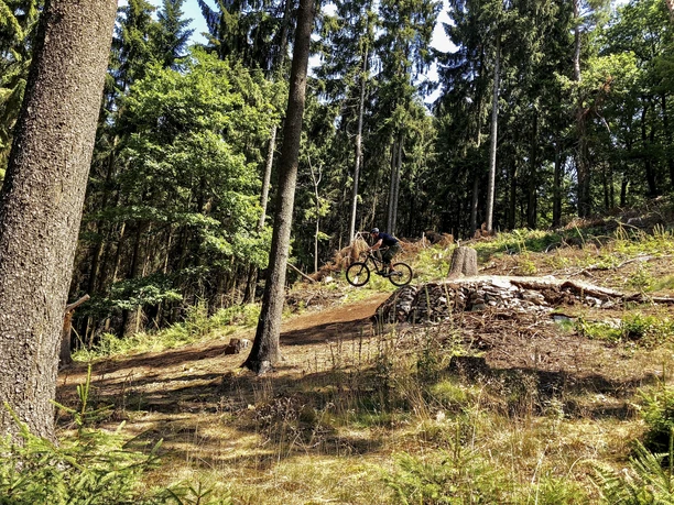 MTB-Trails Winterstein