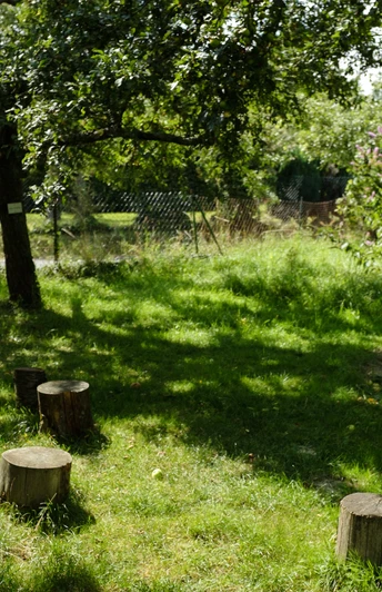 Erlebnisobstwiese Sitzgruppe