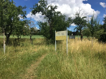 Pfarrer-Christ-Wiese