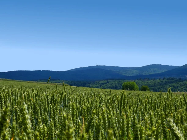 Buchfinkenland-Wanderweg in Idstein -Nieder- Oberrod