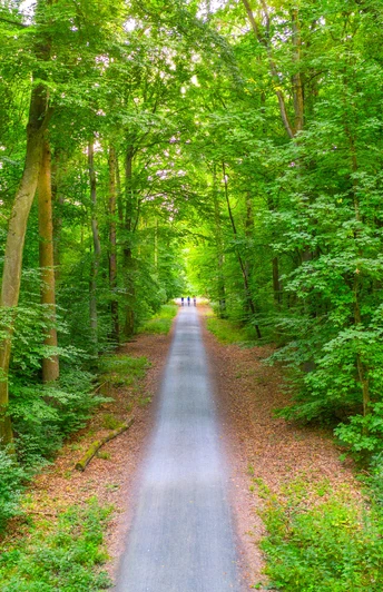 Naherholungsgebiet Hardtwald