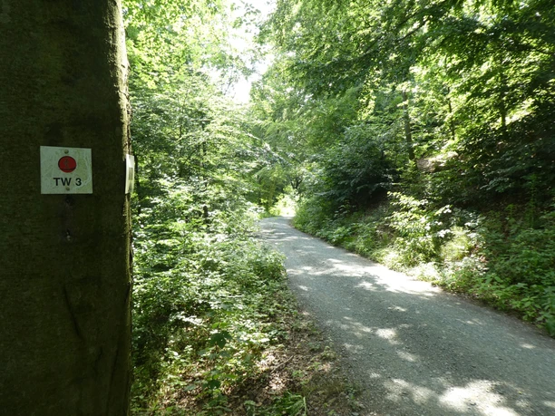 HKW Tillmannsweg. Auf dem Langen Weg.