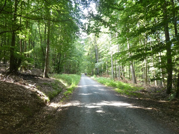 HKW Tillmannsweg. Auf dem Tillmannsweg