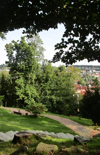 Kurpark südlich der Villa Borgnis