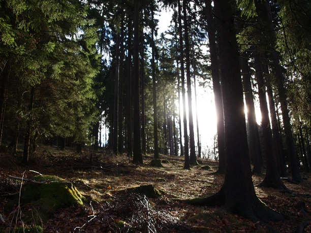 Auf dem Heilklima-Wanderweg SW2