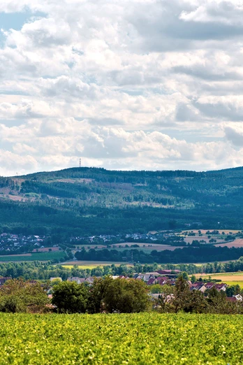 Aussicht vom Waldrand an der "Schlink"