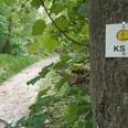 Heilklima-Wanderweg KS2