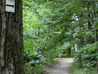 Heilklima-Wanderweg KS2