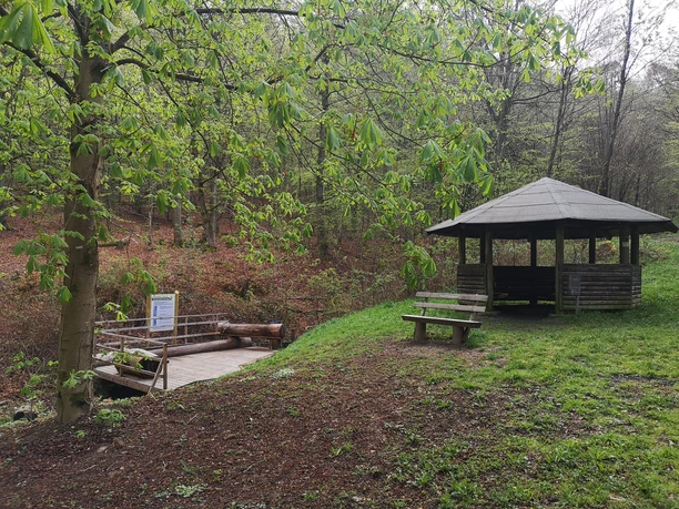 Wassertretbecken Eichbornsbach