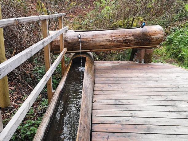 Wassertretbecken Eichbornsbach