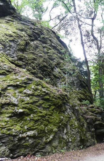 Auf dem Klärchenweg
