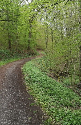 Naturlehrpfad in Bad Camberg-Erbach