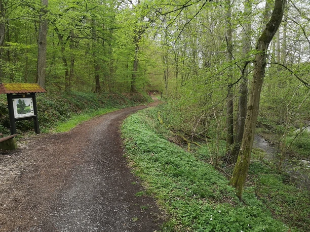 Naturlehrpfad in Bad Camberg-Erbach