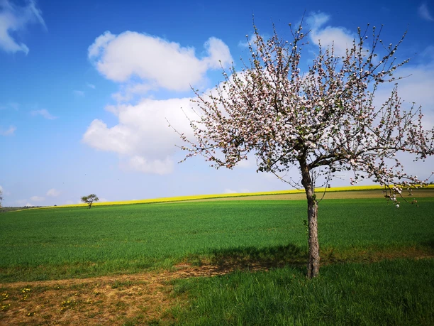 Großer Schwickershäuser Rundweg