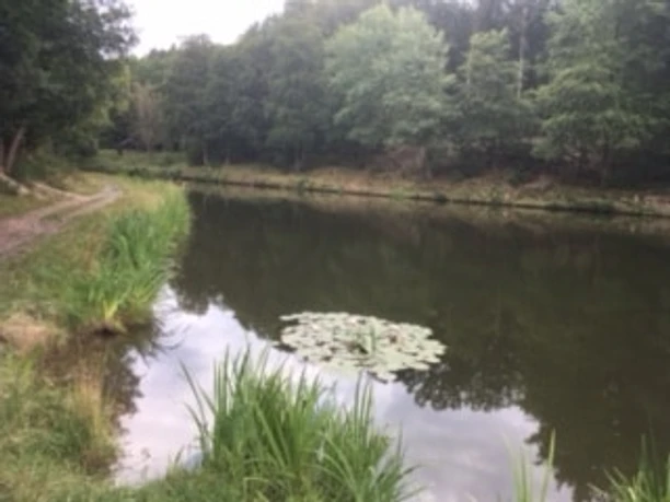 Alsdorfer Weiher Alsdorfer Weiher