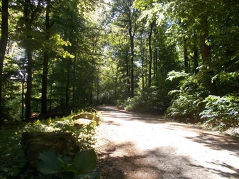 Auf dem Jagdhüttenweg