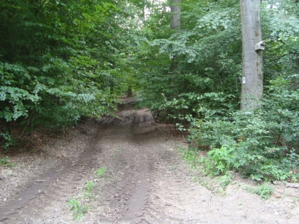 waldbödiger Forstweg