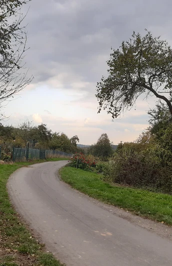 vom Börnchen Oberjosbach Richtung Niederjosbach