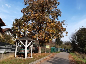 Beginn des Strandwegs der Pfingstweidweg