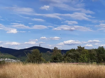 Blick von Oberjosbach