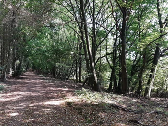 von Oberjosbach nach Ehlhalten