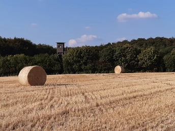 Sommer-Impressionen unterwegs