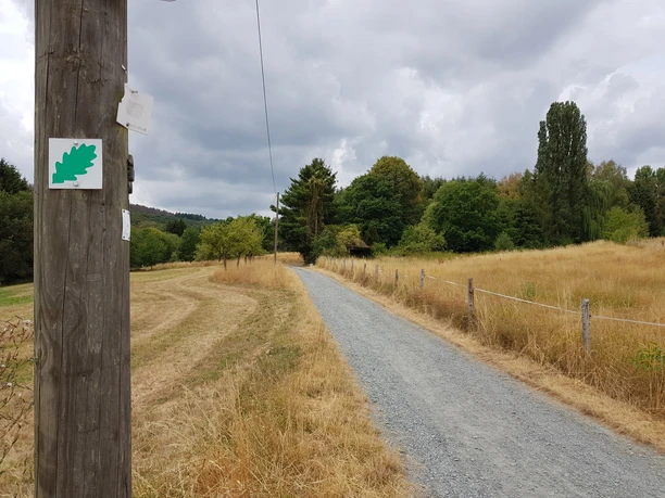 Weg zurück zum Startpunkt am Schwimmbad