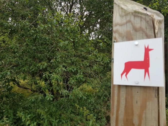 Wegzeichen Rundwanderweg Alttier