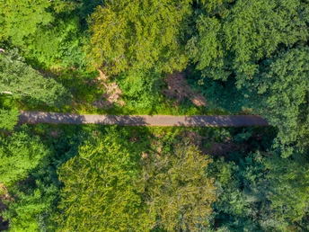 Der Wald im Heilklima-Park Hochtaunus