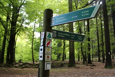 Wegweiser am Fuchstanz