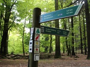 Wegweiser am Fuchstanz