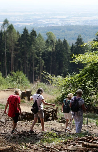 Große Heilklimawanderung