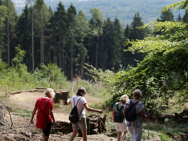 Große Heilklimawanderung