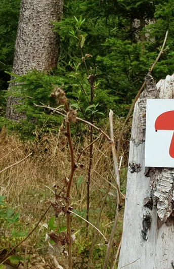 Wegmarkierung Pilz Rundwanderweg