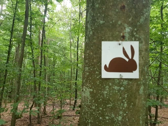 Wegzeichen Rundwanderweg "Hase"