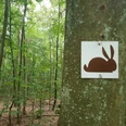 Wegzeichen Rundwanderweg "Hase"