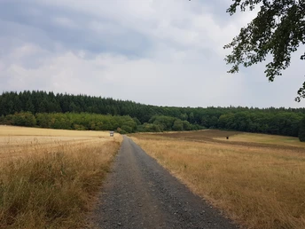 Schöne Landschaft