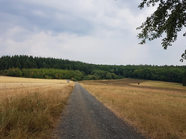 Schöne Landschaft