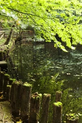 Forellenweiher