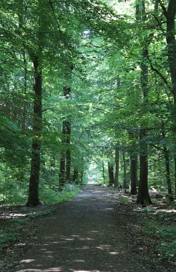 Wanderweg Roter Balken