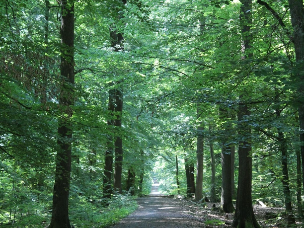 Wanderweg Roter Balken