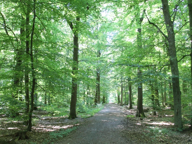 Wanderweg Roter Balken