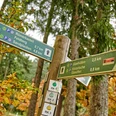 Wegweiser im Hochtaunus
