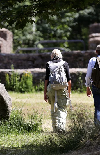 Feldbergkastell am Wegesrand