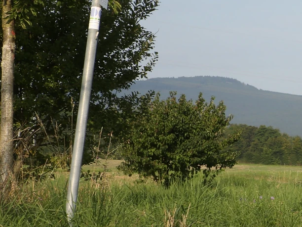 Wegweiser am Hölderlinpfad