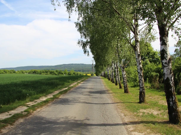 Landschaftsbild Wanderweg