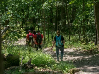 Wandern im Heilklima-Park