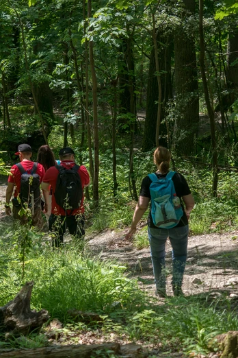 Wandern im Heilklima-Park